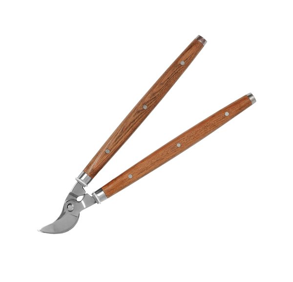 Sécateurs : comment bien sélectionner votre outil de jardinage